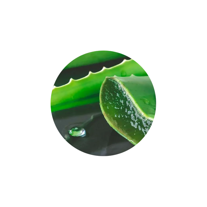 Aloe Vera Powder