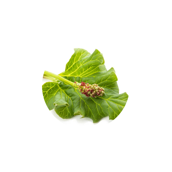 Rhubarb Powder