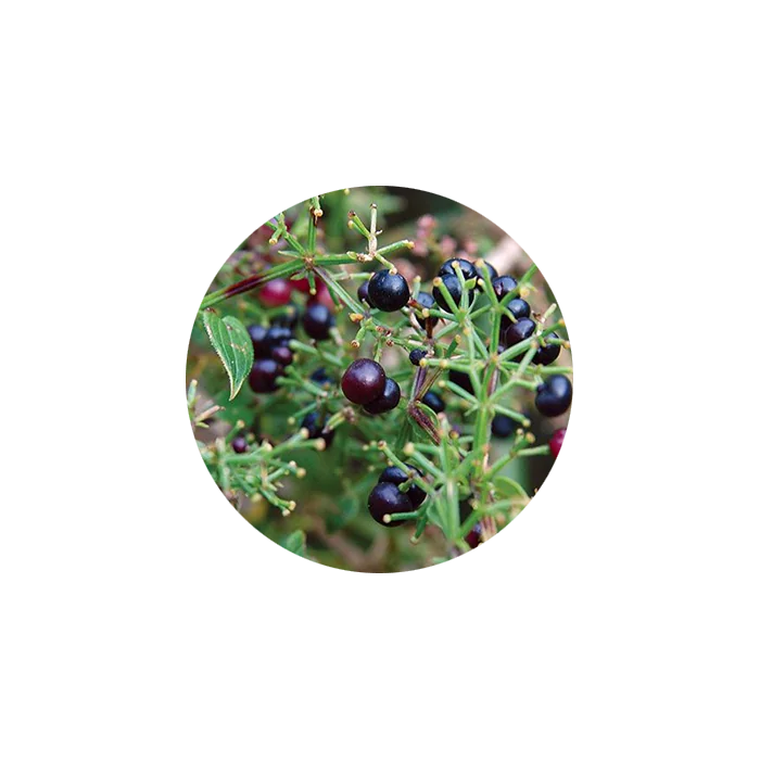 50ml Henna Extra Red