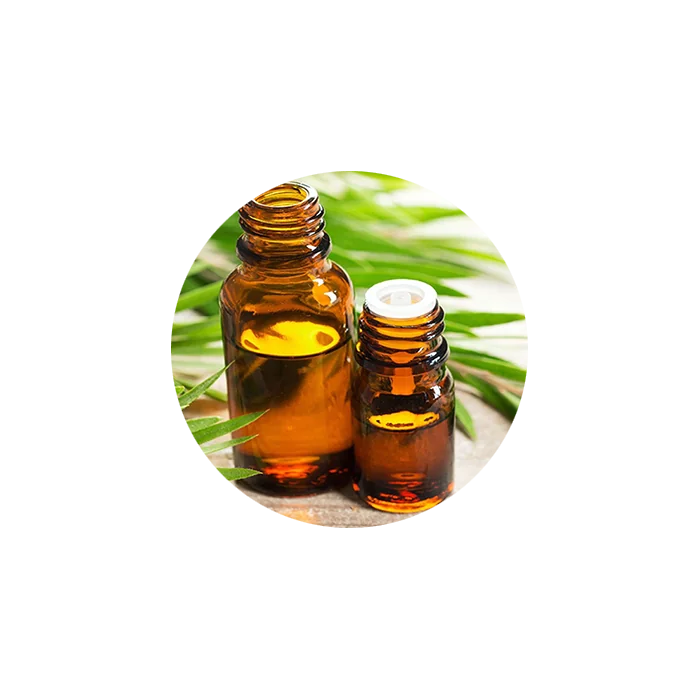 Niaouli Essential Oil