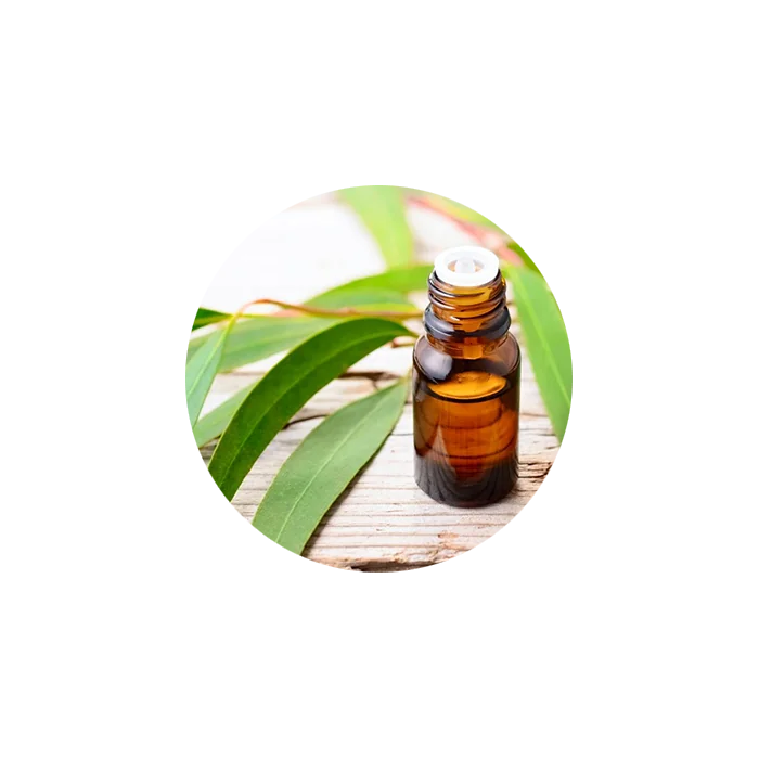 Eucalyptus Essential Oil