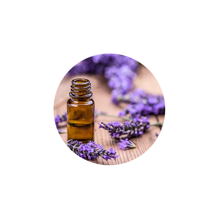 Lavender Essential Oil